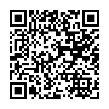 QR code for Z91-95C