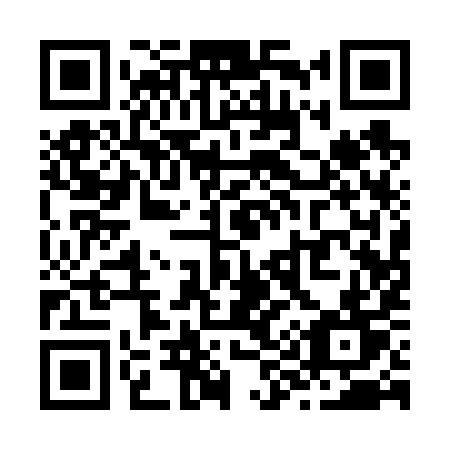 QR code for plate Z91-69T