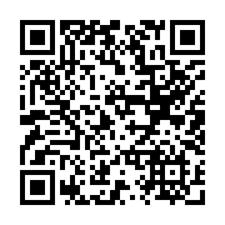 QR code for plate Z91-99N