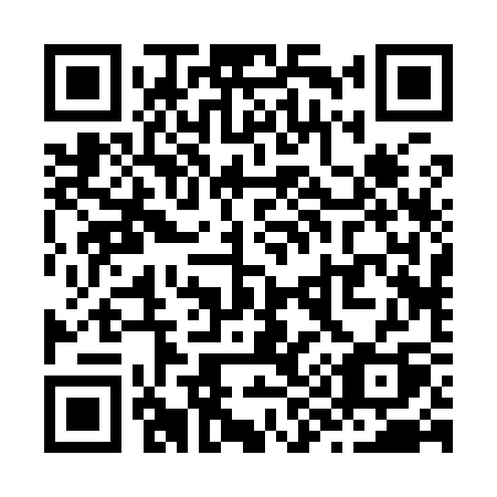 QR code for Z9293Q