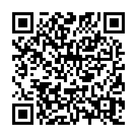 QR code for Z93-91T
