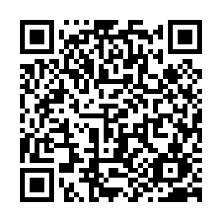 QR code for Z95-03N