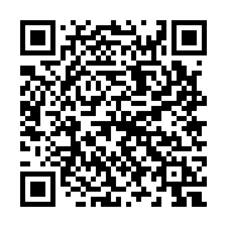 QR code for Z95-17H