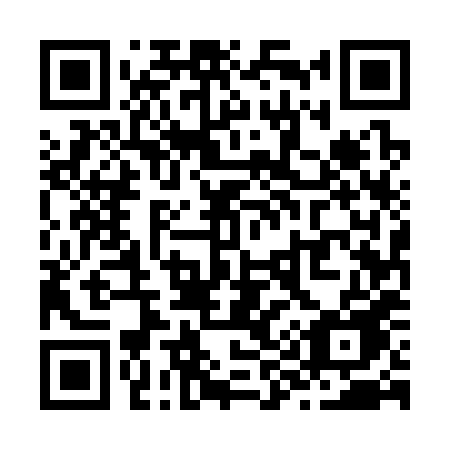 QR code for Z95-38E