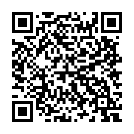 QR code for Z95-53K