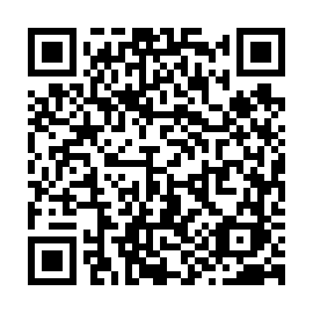 QR code for Z95-66K