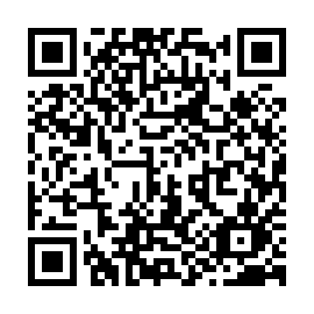 QR code for plate Z95-81N