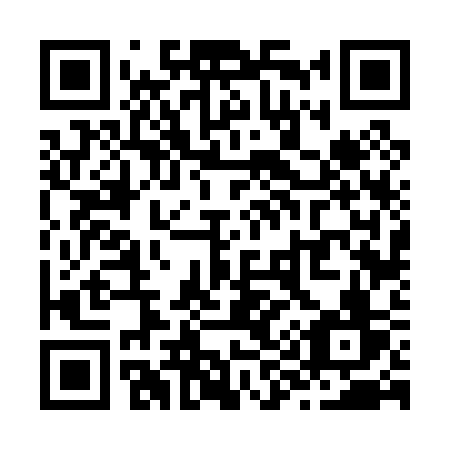 QR code for plate Z96-03V