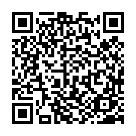 QR code for Z98-46P