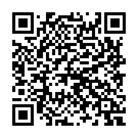 QR code for Z98-96A