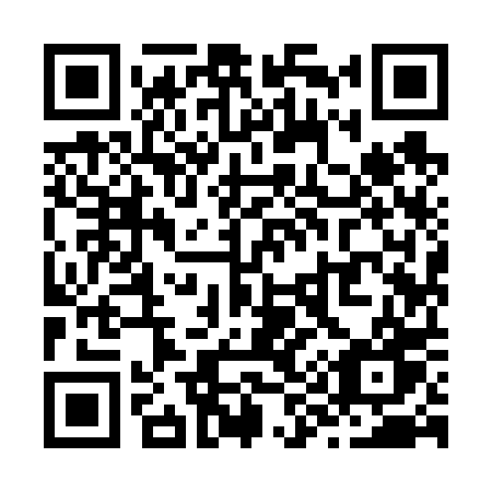 QR code for Z99-60W