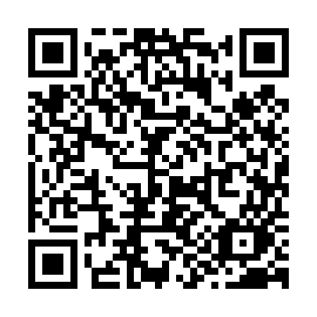 QR code for plate Z99-45O