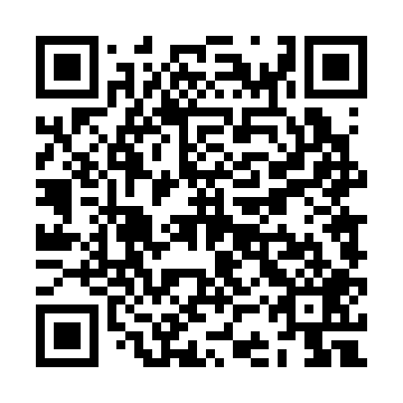 QR code for ZCT309