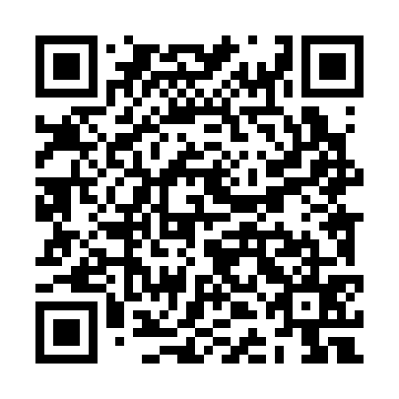 QR code for ZDL375
