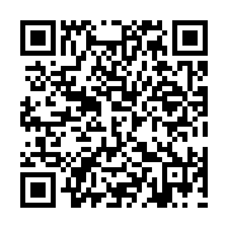 QR code for plate ZDX-390