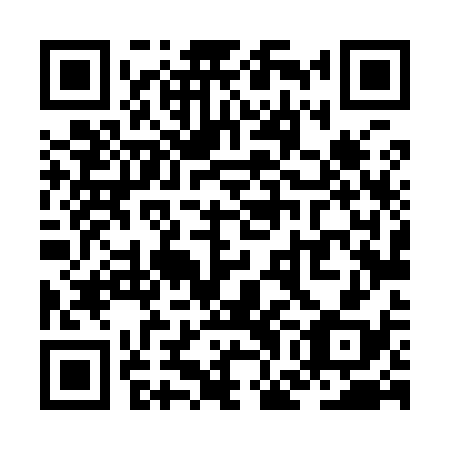 QR code for ZGL-938