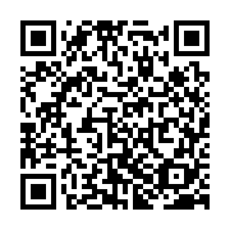 QR code for ZHG368