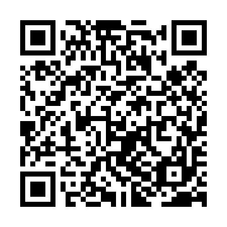 QR code for ZHG497