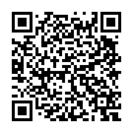 QR code for ZHI424