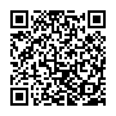 QR code for ZHJ-019