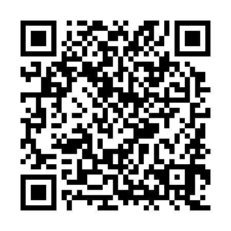 QR code for ZHL390