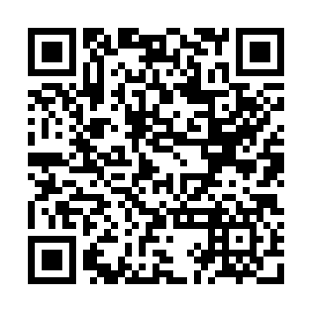 QR code for ZIN-387