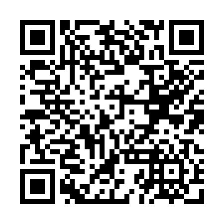 QR code for plate ZJJ-306