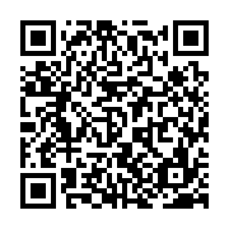 QR code for ZKM-336