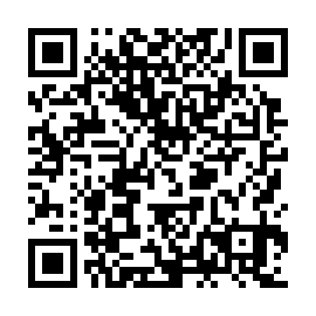 QR code for ZLH331