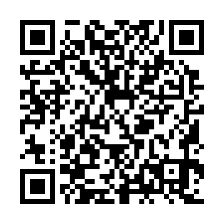 QR code for ZLM-371