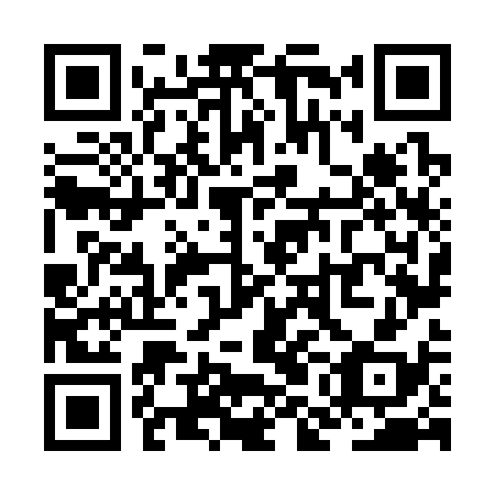 QR code for ZMN338