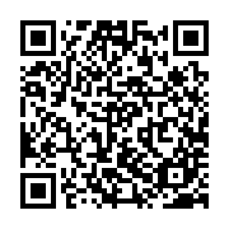 QR code for ZPD387