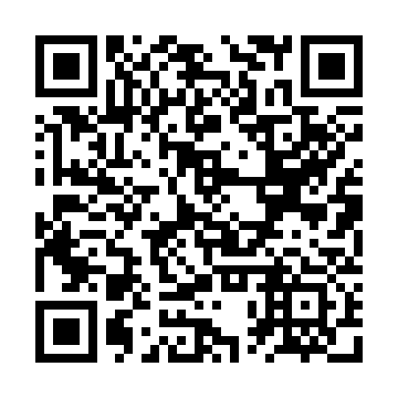 QR code for ZPP-333