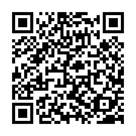 QR code for ZPT-009