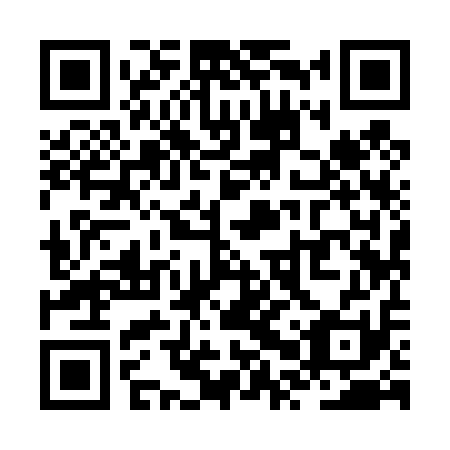QR code for ZPY-411