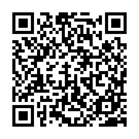 QR code for ZQZ307