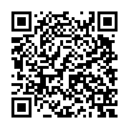 QR code for ZTN-424