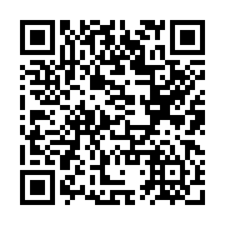 QR code for ZTZ384