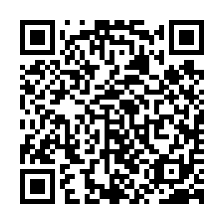 QR code for ZUB611