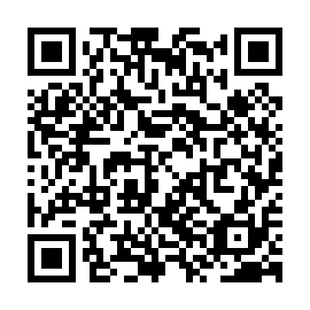 QR code for ZVG010