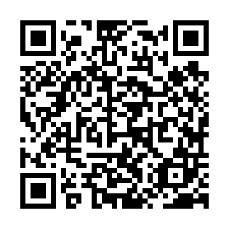 QR code for plate ZWZ-602