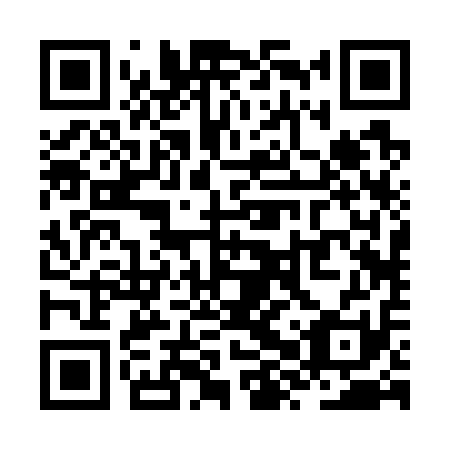 QR code for ZXR-711