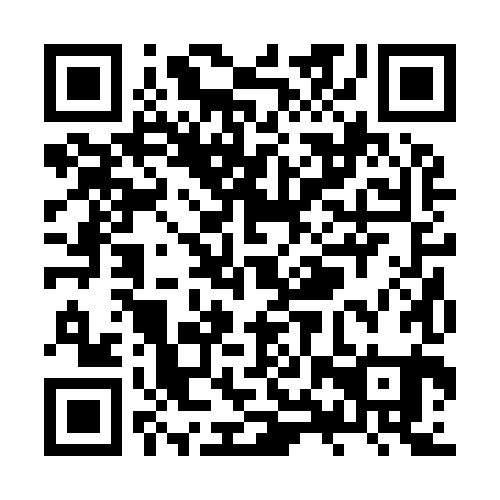 QR code for ZXR-981