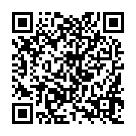 QR code for ZYI-996