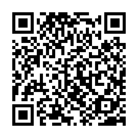 QR code for ZYR-228