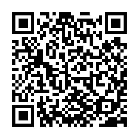 QR code for ZZA699