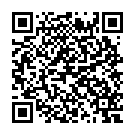 QR code for ZZO317