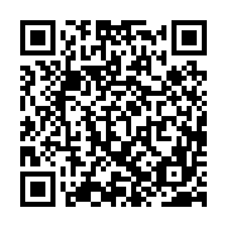 QR code for ZZP256