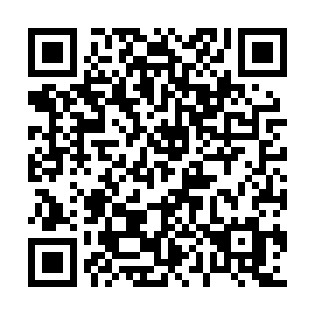 QR code for 006-LSM