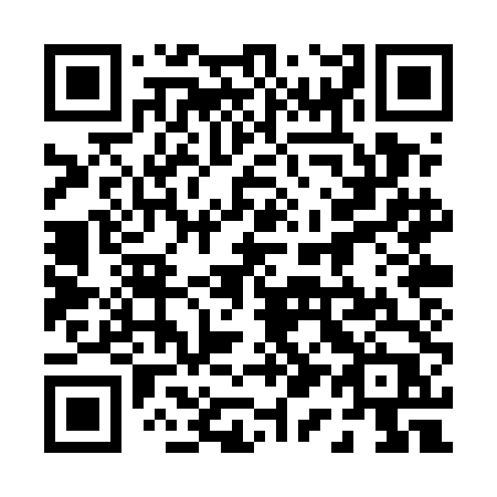 QR code for plate 010-UDP